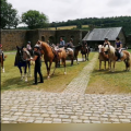 visite du château de Burg Reuland 