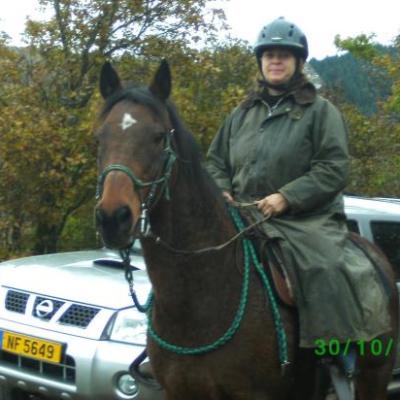 VIANDEN 2010