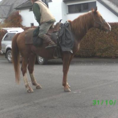 vianden 2010