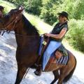 MORESNET 2010