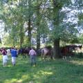 MORESNET 2010