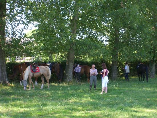 MORESNET 2010