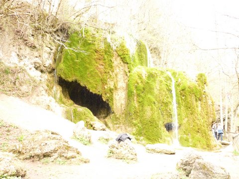 P1010242